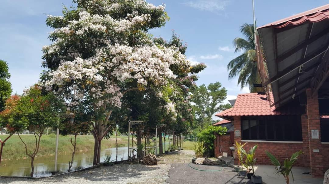 Homestay Umbai Kelana Merlimau Exterior photo